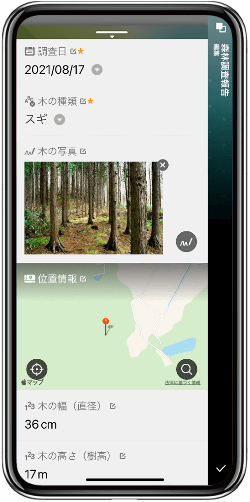 写真：「森林調査アプリ」イメージ（仮）