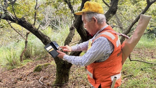 写真：猟師がアプリで捕獲報告をする様子