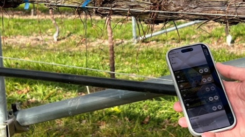 写真:農園でアプリを操作する様子