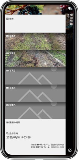 写真:畑の様子がひと目で分かる
