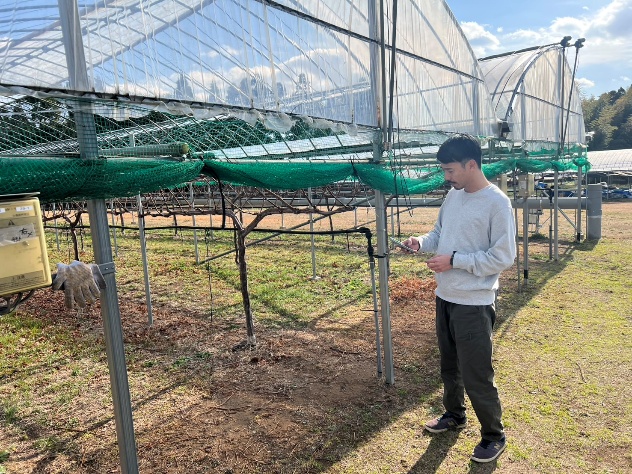 写真:畑を巡回しながらアプリ入力する様子